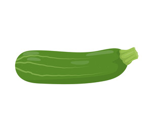Fresh dark green Zucchini vegetable icon. Farm zucchini plant. Organic garden vegetarian food. Vector illustration isolated on white background.