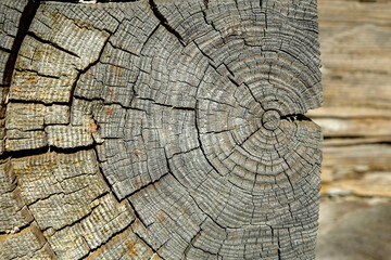 Fototapeta premium Close-up of a Cracked Wooden Tree Structure From an Old House Revealing Intricate Textures and Patterns