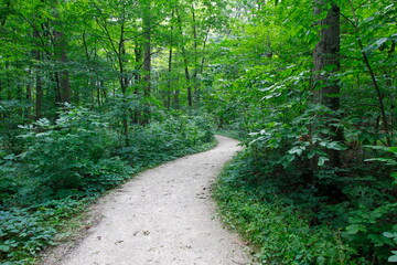 Trail, Glacier Ridge Metro Park, Dublin, Ohio