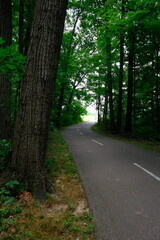 Trail, Glacier Ridge Metro Park, Dublin, Ohio