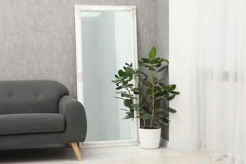 Large mirror near grey wall in room. Interior design