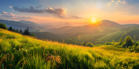 Yellow Blossoms in a Mountainous Summer Landscape