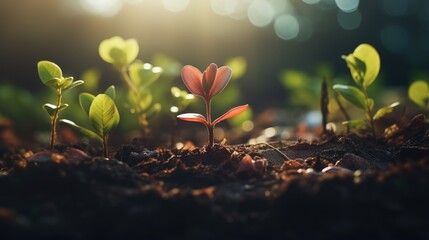 Vibrant yellow flower surrounded by green leaves, symbolizing the beauty of nature.