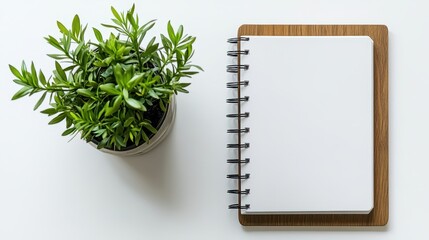 Top view of a minimalist workspace featuring a blank spiral notebook on a wooden clipboard, accompanied by a green potted plant, emphasizing simplicity and organization.