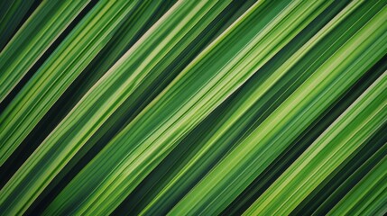 Obraz premium A vibrant green leaves in the background