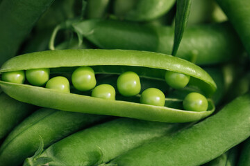 Green peas in pods close up. Background with fresh green peas. Vibrant healthy vegetables.