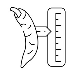 cayenne pepper spice scale line icon vector. cayenne pepper spice scale sign. isolated contour symbol black illustration