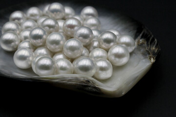 Expensive luxurious Chinese freshwater round pearls in a white shell, to be made into earrings, pendants or necklaces and sold in jewelry store. Popular feminine wedding accessory.