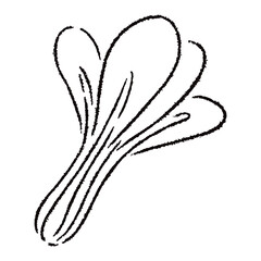 手描きの小松菜のイラスト2（白黒）