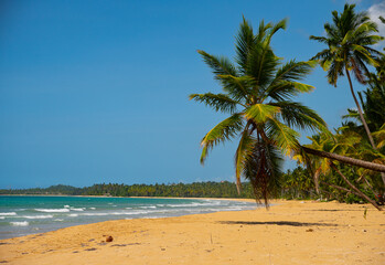 Plaża Coson (Las Terrenas) na Dominikanie © Piotr