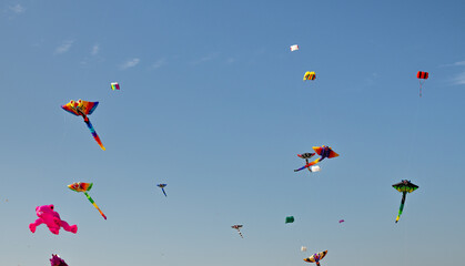 A vibrant array of colorful kites soaring in the sky against a clear blue backdrop.