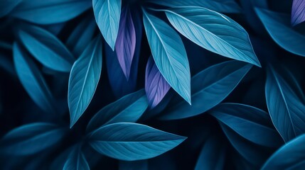 nature leaves wallpaper background