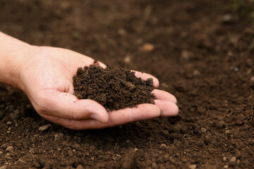 Woman holding pile of soil outdoors, closeup