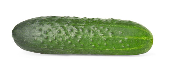 One fresh green cucumber isolated on white