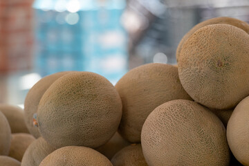 Honeydew melons stacked in a bin for sale at a supermarket. The whole round shaped ripe fruit has a thick waxy flesh with texture. The wrinkles are pale green and yellowish colored healthy food.