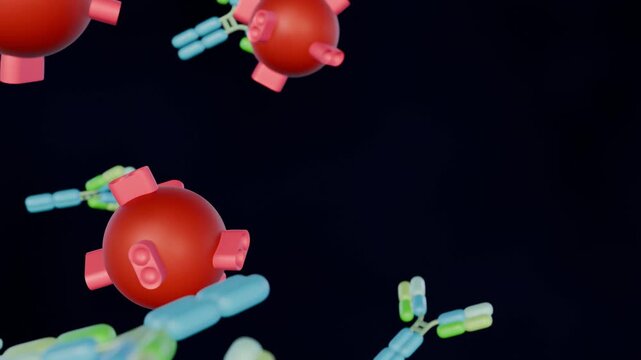 3d animation of Antigen-antibody complexes, also known as immune complexes, are molecular structures that form when an antibody binds to a specific antigen. 