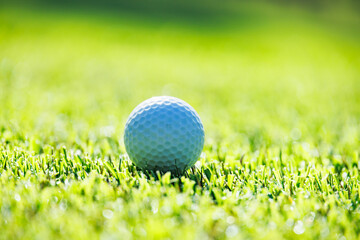 新緑の芝生が綺麗なゴルフ場