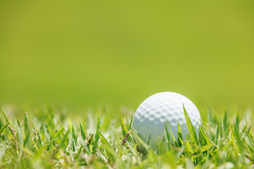新緑の芝生が綺麗なゴルフ場