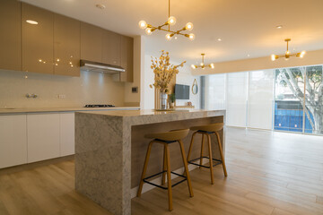 apartment with american kitchen with wall and base units