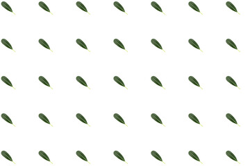 leaves background