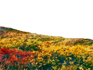 秋山