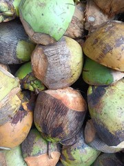 A coconut husk is a rough exterior fibrous skin of the coconut. These husks are full of fibre