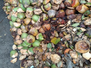 A coconut husk is a rough exterior fibrous skin of the coconut. These husks are full of fibre