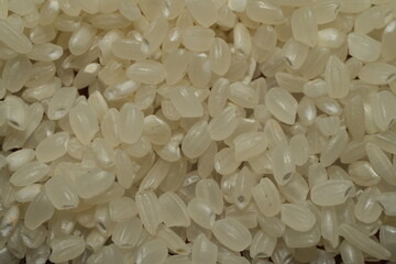 白米は、世界中で広く消費されている主食であり、多くの伝統的な食事において重要な役割を果たしています。白米は、籾殻、ぬか、胚芽を取り除いた精白米で、主に炭水化物を供給する食品です。
