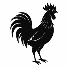 Rooster isolated on white background, Rooster vector illustration, bird on a branch vector art, chicken silhouette, bird vector icon, chickens on a branch line art, eps
