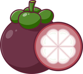 illustration of a mangosteen