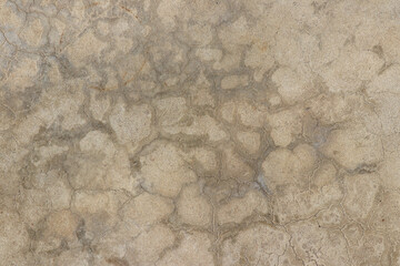 Old wooden texture for background that has natural cracks.