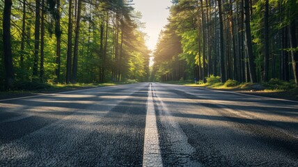 Obraz premium A Straight Road Through a Sunlit Forest