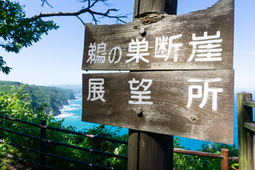 鵜の巣断崖の風景