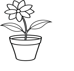 flower in a pot