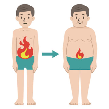加齢に伴い低下した基礎代謝のイラスト