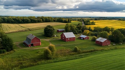 Obraz premium Sustainable Agricultural Practices for a Circular Economy in Farming