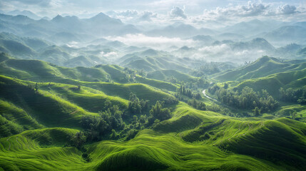 Fototapeta premium Lush Mountainous Countryside Landscape with Misty Rolling Hills and Grassy Meadow in Tranquil