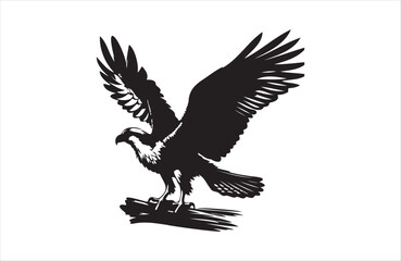 Fototapeta premium a silhouette vector of Osprey icon in white background