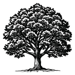 Obraz premium tree silhouette icon isolated on white background vector