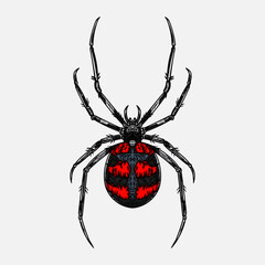 Red black spider vector illustration