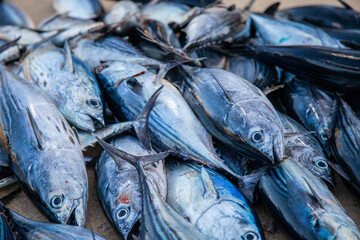 Obraz premium La Pesca del Día, Puerto Ángel, Oaxaca, México