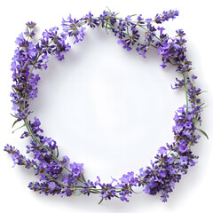 Lavender garden frame illustration
