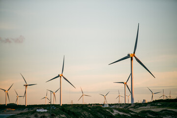 wind turbines in the field