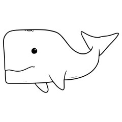 whale illustration hand drawn outline vector