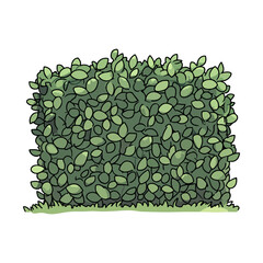 things in the garden