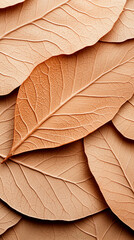 Close-up view of beautifully arranged, textured brown leaves, showcasing intricate details and natural elegance.