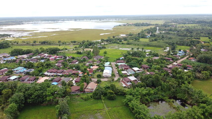Green Paddy Field Ariel View in Thailand.,Aerial view of rice fields. Bird eye view of rice field.