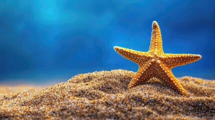 starfish on a beach sand 