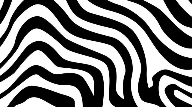 Black and White Color Striped Loopable Optical Illusion Animation. 4k resolution. zebra skin background