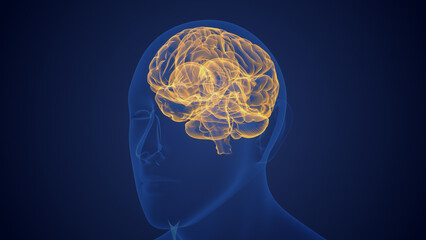 Obraz premium Scientific medical background of human brain